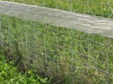 Ogrodzenie autostradowa wraz z siatk� zabezpieczaj�c� przeciw p�azom